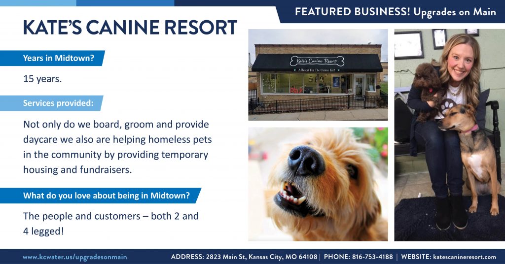 Featured Business of the Week - Kate's Canine Resort