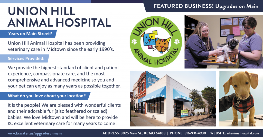 Featured Business Friday - Union Hill Animal Hospital