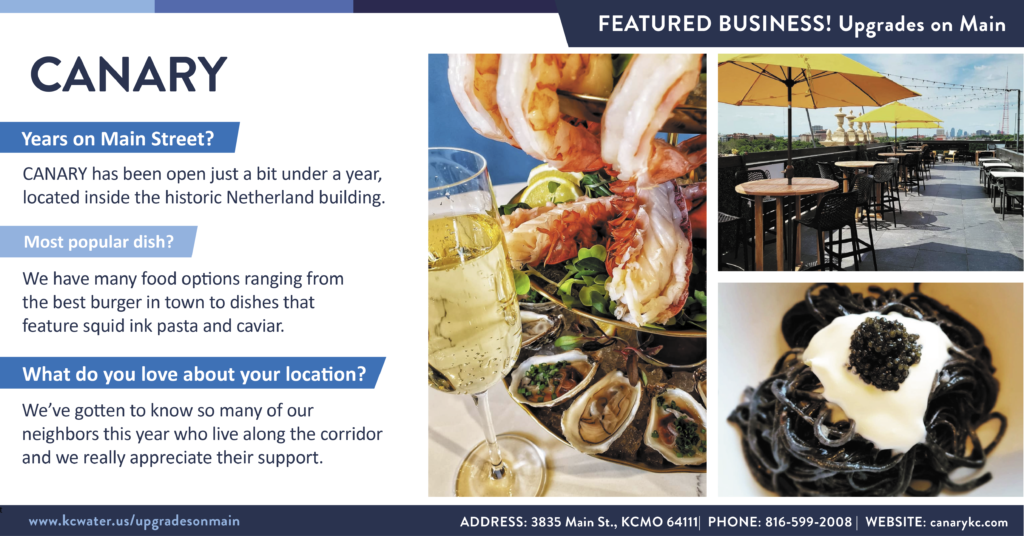 Featured Business: CANARY