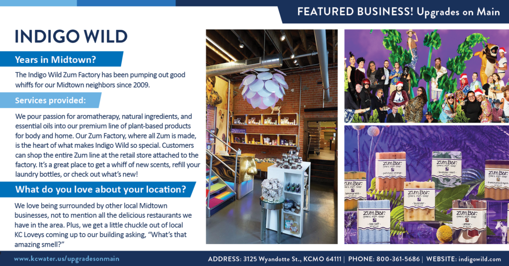 Featured Business: INDIGO WILD