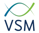 VSM Logo