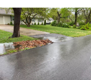 Yard waste and leaves clogging a storm drain near a home, resulting in minor flooding on the roads