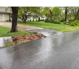 Yard waste and leaves clogging a storm drain near a home, resulting in minor flooding on the roads